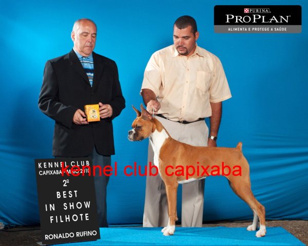 Clique sobre a foto para fechar